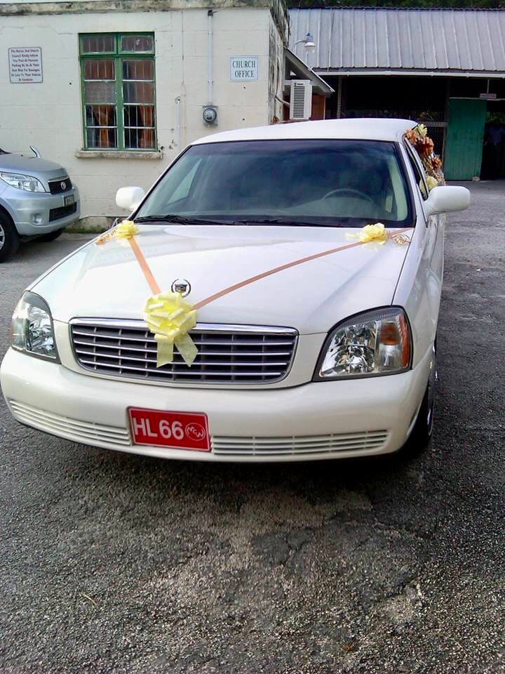Dynamic Limousine