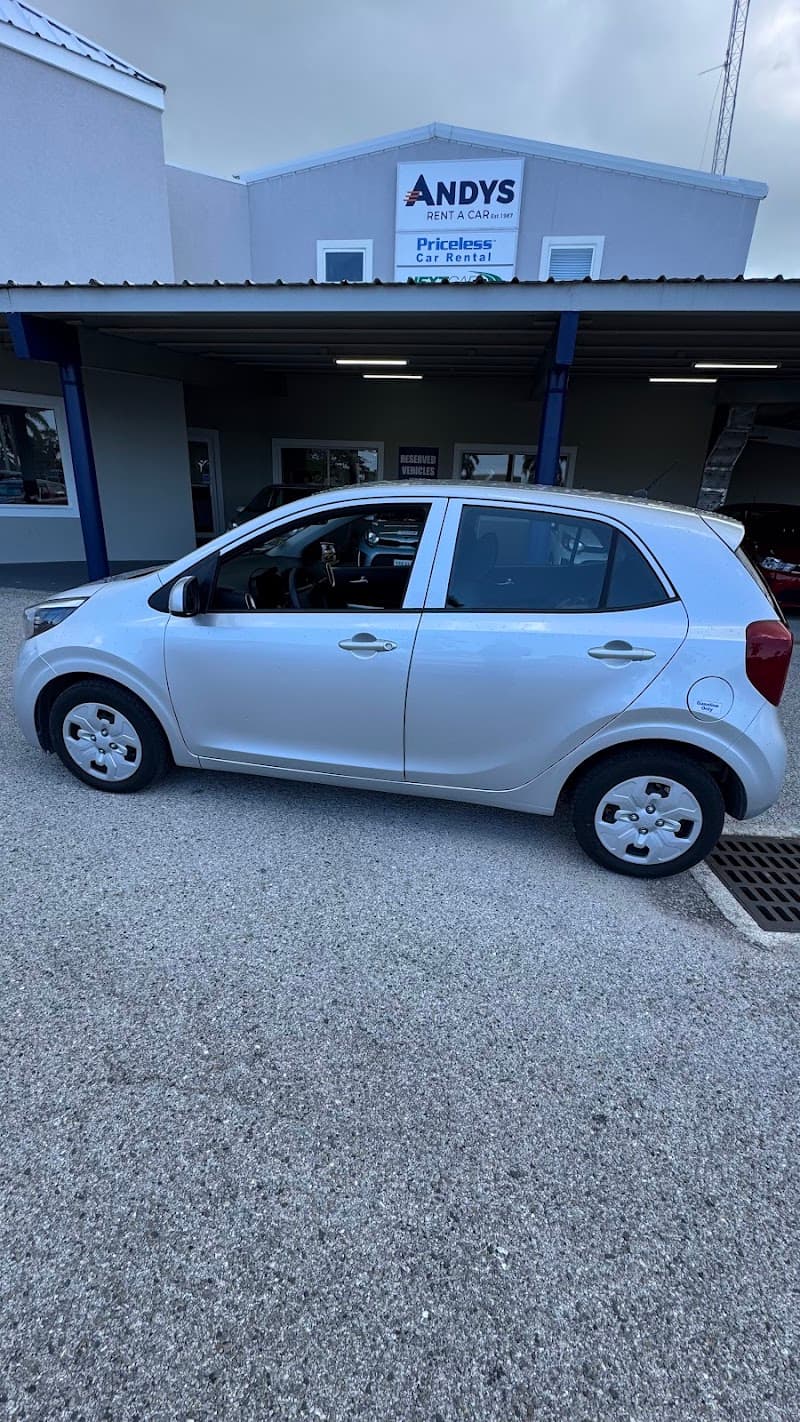 Andy's Rent-A-Car