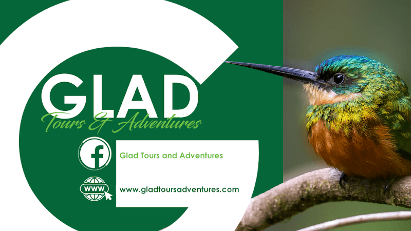 Glad Tours and Adventures