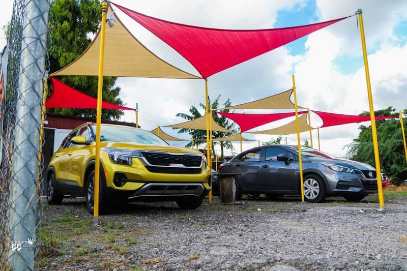 Yeyo's car rental & transportation,llc