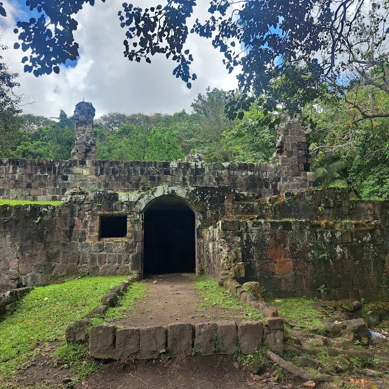 Nature Paradise Tours- St.Kitts