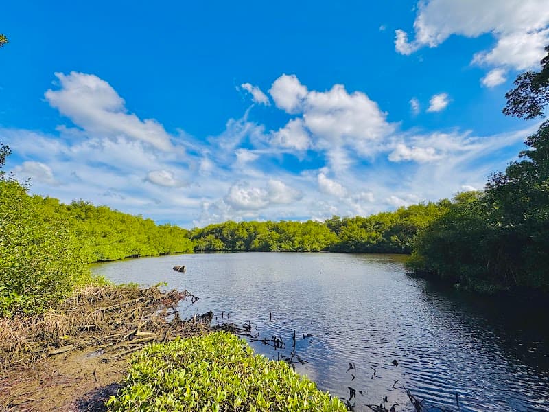 Kalpooโs Caroni Bird Sanctuary - Ibis Tours