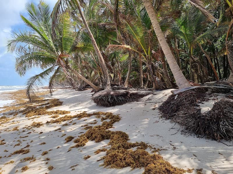 Matura Turtle Watching Site