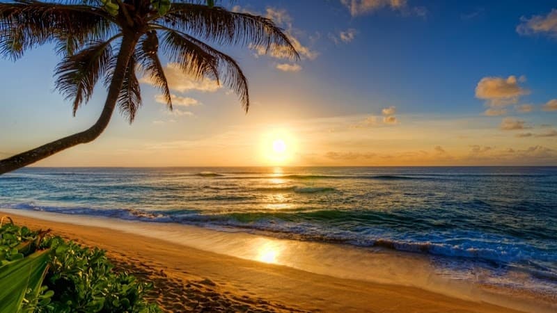 Taxi Services Aruba
