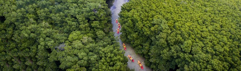 Eco Adventures Puerto Rico