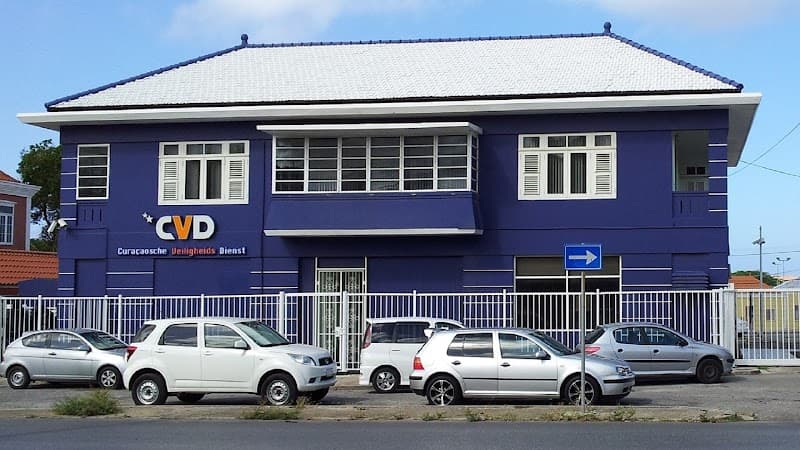 CVD Security Systems NV