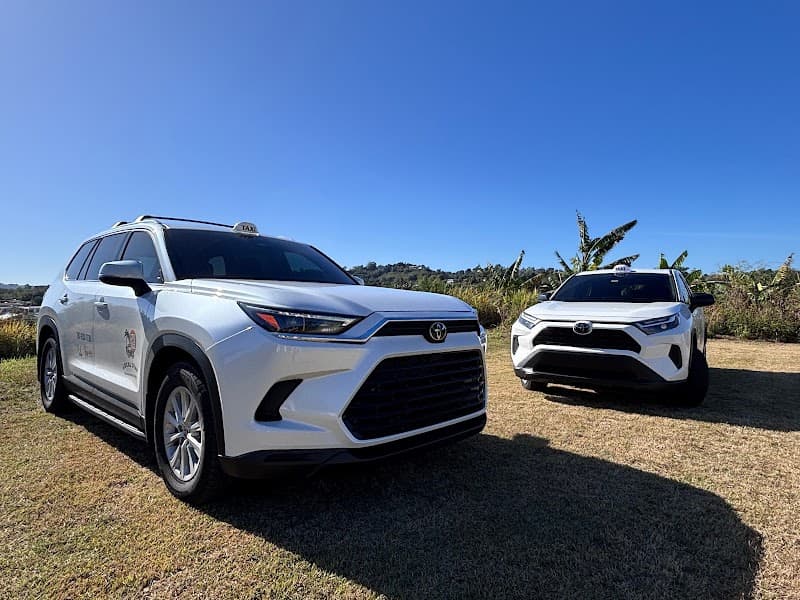 Local Juan Transportation | Taxi Service in Rincon, Puerto Rico