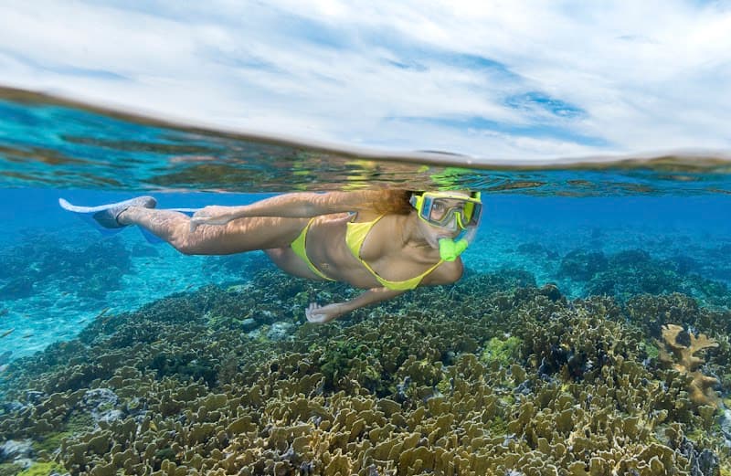 Bahamas Dive Guides | Scuba Diving, Freediving, Snorkeling & Spearfishing in The Bahamas