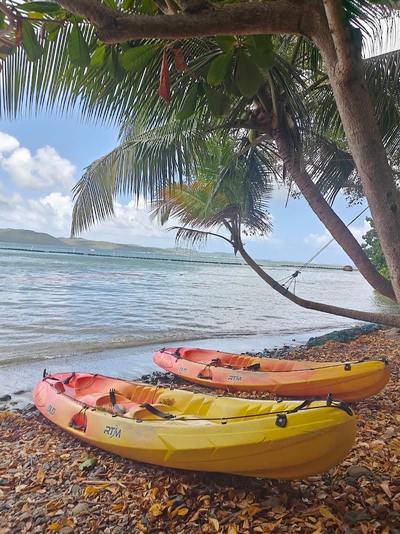 Les kayaks du Robert
