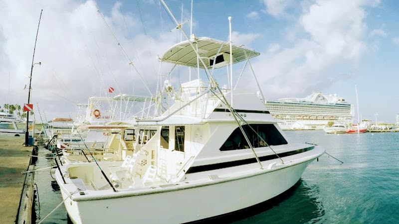 Teaser Fishing Charters